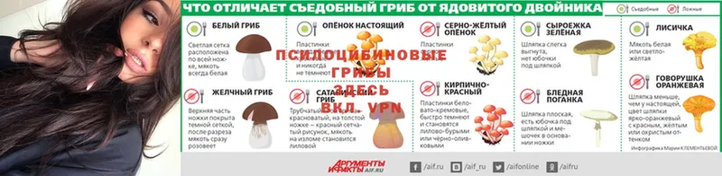 Купить наркотик Дудинка КОКАИН  Галлюциногенные грибы  Бошки Шишки  АМФ  ГАШ  Альфа ПВП 