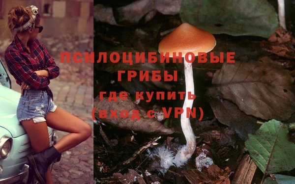 mdpv Гусь-Хрустальный
