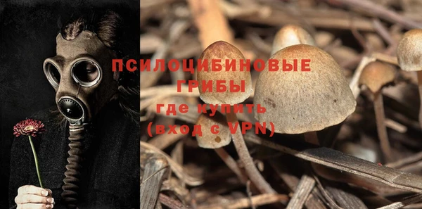 твердый Гусиноозёрск