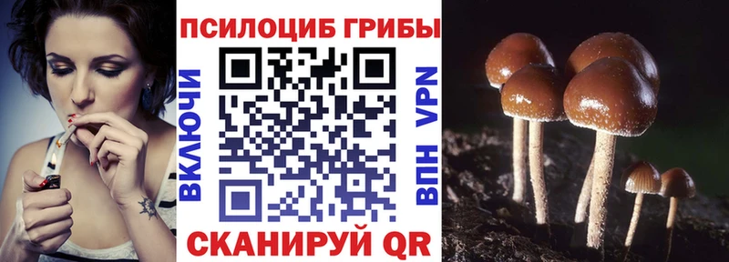 Галлюциногенные грибы Psilocybe  Дудинка 