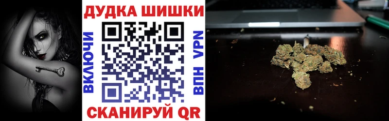 Каннабис сатива купить цена Дудинка